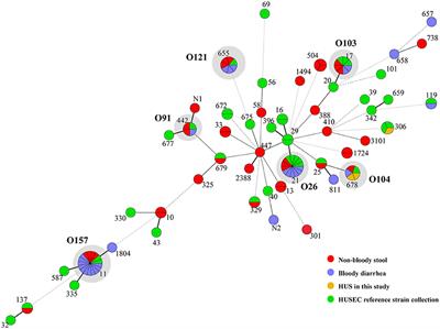 Frontiers Shiga Toxin Producing Escherichia Coli Infection In   363429 Thumb 400 